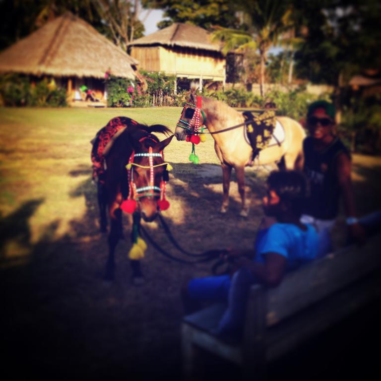 Manusia Dunia Green Lodge Gili Air Exterior foto
